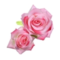 Détail d'une pince à cheveux rose en soie avec pétales dégradés et feuille verte sur blanc - Rose