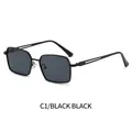 Lunettes de soleil C1 en métal noir avec verres gris foncé et détails de branches évidées - Monture Noire Verres Noir Gris