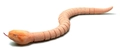 Detail of mechanical remote control snake with realistic orange scales and segmented body - Orange Viper