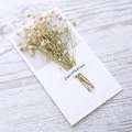 Minimalist greeting card with natural white dried flowers and Especially For You text - White Baby's Breath