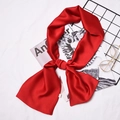 Elegant solid red skinny silk scarf tied in a bow on a white minimalist background - Red