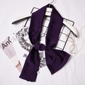 Elegant solid dark purple skinny silk scarf tied in a bow on a professional hanger display - Purple