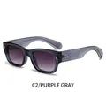 Narrow purple gray sunglasses with gradient lenses and gold star rivets on the side - Purple Gray Frame Double Gray Lenses (C2/PURPLE GRAY)