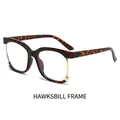 Stylish oversized tortoiseshell spectacles frame with gold metal trim in C2 hawksbill color - Tortoise