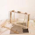 Transparent acrylic rectangular clutch bag with gold metal frame and chain strap - Clear