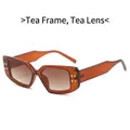 Retro square sunglasses with brown translucent frames and gold stud accents - Tea Frame Tea Lens
