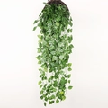 Detail of hanging artificial ivy vine with variegated green and yellow leaves on white background - Scindapsus Leaf