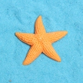 Detailed view of orange resin starfish with realistic texture on blue decorative sand - Dark Yellow