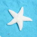 Macro di stella marina in resina bianca su sabbia blu per accessori fai da te art - Bianco