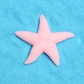 Dettaglio di stella marina in resina rosa con trama su sabbia decorativa blu brillante - Rosa Chiaro