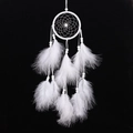 Handmade white dream catcher with woven ring, beads and feathers on black background - Standard Type / White