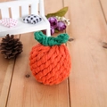 Handmade orange cotton rope knot dog toy for teeth cleaning in pumpkin shape - Orange