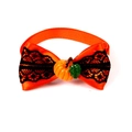 Detail der Halloween Kürbis Tierfliege mit orangefarbenem Band und schwarzer Spitze - Orange Schwarze Spitze Kürbis Stil VN435-8