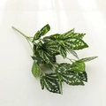 Artificial evergreen leaf branch with white variegated texture for home floral decoration - White Pilea Peperomioides