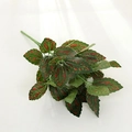 Artificial coleus foliage branch with realistic green and red speckled leaves - Red Pilea Peperomioides