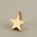 Polished gold stainless steel star charm pendant for DIY jewelry making and necklaces - 16mm Solid Star / Gold