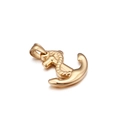 Colgante de ancla estilo naval dorado con detalle de cuerda en acero de titanio - Estilo de Ancla Dorada (KP78003-Z)