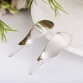 Elegant pair of silver metal hair clips with a brushed finish in teardrop shape - Water Drop Silver