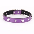 Collare per cani in pelle viola con borchie a stella d'argento e fibbia in metallo - S (1.5x30cm) / Viola