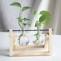 Close-up of two spherical glass vases with green plants on a wooden desktop stand - Natural Wood Stand + 2 Bottles
