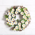 Weißer Gänseblümchen-Kranz mit grünen Blättern auf Naturrebe für die Wanddeko - Weiße Sonnenblumen Kranz-30cm