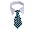 Pet collar with a white shirt collar and a blue and black striped gentleman's necktie - S / Blue and Black Striped (CW 4)
