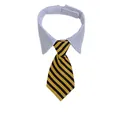 Adjustable pet necktie collar with white shirt collar and yellow black striped tie - S / Yellow and Black Striped (CW 2)
