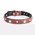 Brown leather dog collar with silver star studs and metal buckle for small dogs - Coffee