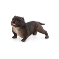Realistisches 13 cm dunkelbraunes American Bully Hundemodell mit muskulösen Details auf Weiß - Braun