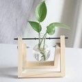Close-up of glass bulb vase with green plant on a minimalist wooden frame support - Natural Wood Stand + 1 Bottle