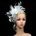 Detailed view of white feather fascinator with mesh veil and lace flower on dark background - White