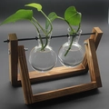 Kreatives Hydrokultur-Pflanzenterrarium mit Doppelvasen auf einem Vintage-Holzständer - Schaumstoffbox-Verpackung / Vintage-Ständer + 2 Flaschen
