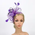 Detail of purple fascinator hat with elegant mesh flower feathers and beaded accents - Purple