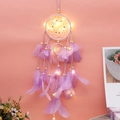 Detail of purple dreamcatcher with feathers, wooden beads and glowing warm LED lights - With LED Light / Purple