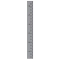 Metal ruler variant with dual-sided scale showing 6 inches and 190 mm metric measurements - Classic Grey