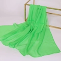Lightweight green chiffon skinny scarf draped over a gold frame for a stylish look - Fruit Green