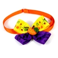 Detail einer Halloween-Haustierfliege mit orangefarbenem Kürbis und lila Schleife - Orange Gelb Lila Festlicher Druck Kürbis Stil VN434-1