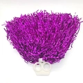 Close-up of bright purple metallic foil pom pom with white plastic finger-hole handle - Double-button 20g Rose Red (general Density Suitable For Kindergarten And Primary School Students)