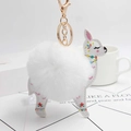 Vista dettagliata del portachiavi alpaca bianco con pompon di peluche e chiusura dorata - Bianco