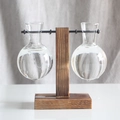 Close-up of two spherical glass vases suspended on a dark wooden frame for hydroponic plants - Vintage C Style (Double Bottles)
