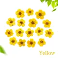 Flat lay of 15 pieces of dried yellow narcissus flowers for DIY resin jewelry and nail art - Yellow