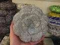 Close-up of a hollow rose flower evening bag encrusted with sparkling silver rhinestones - Silver White