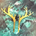 Close-up of golden mirror acrylic reindeer horn cake toppers on dark marble surface - Style 302 / Mirror Gold