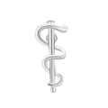 Γυαλισμένη ασημένια καρφίτσα Ράβδος του Ασκληπιού με ιατρικό σύμβολο φιδιού και ράβδου - Ασημί