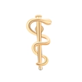 Macro shot of gold-polished Rod of Asclepius brooch detail with metallic reflection - Gold