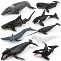 Set di 9 modellini realistici di balene e orche in plastica per studio biologico - Set di 9 Balene
