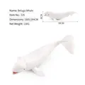 Modello realistico di balena beluga bianca, statuetta di animale marino da 18 cm - Beluga