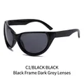 Lunettes de soleil de sport Y2K avec monture noire brillante et verres gris foncé - Monture Noire Verres Noir Gris