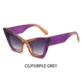 Cat eye sunglasses featuring a purple and amber tortoiseshell frame with grey gradient lenses - Purple Gradient Frame Gray