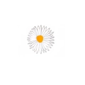 Broche de flor margarita de esmalte blanco con centro amarillo y aleación de plata - Margarita